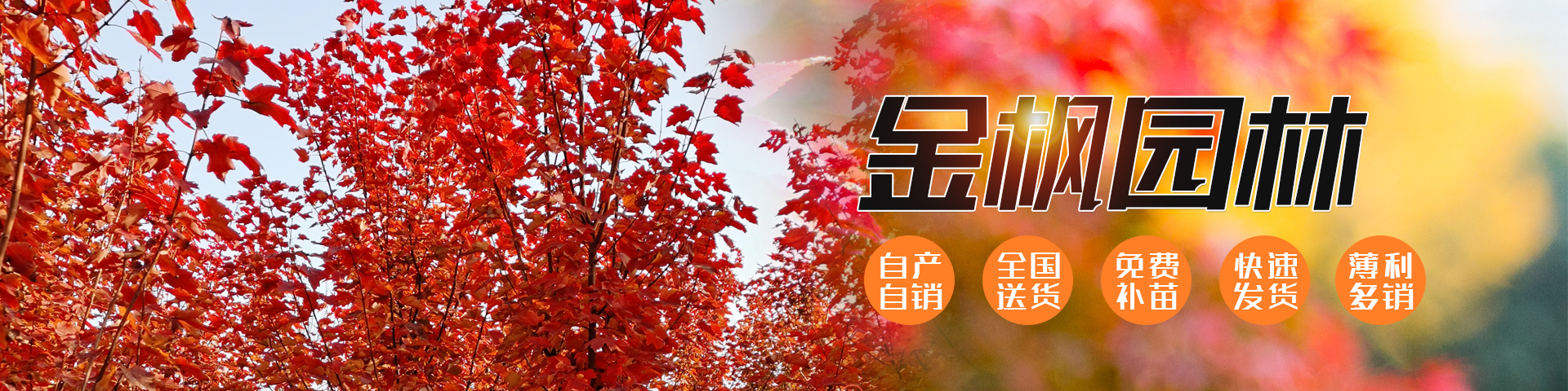 濟(jì)寧華科環(huán)?？萍加邢薰?/></li>
		<li><img src=