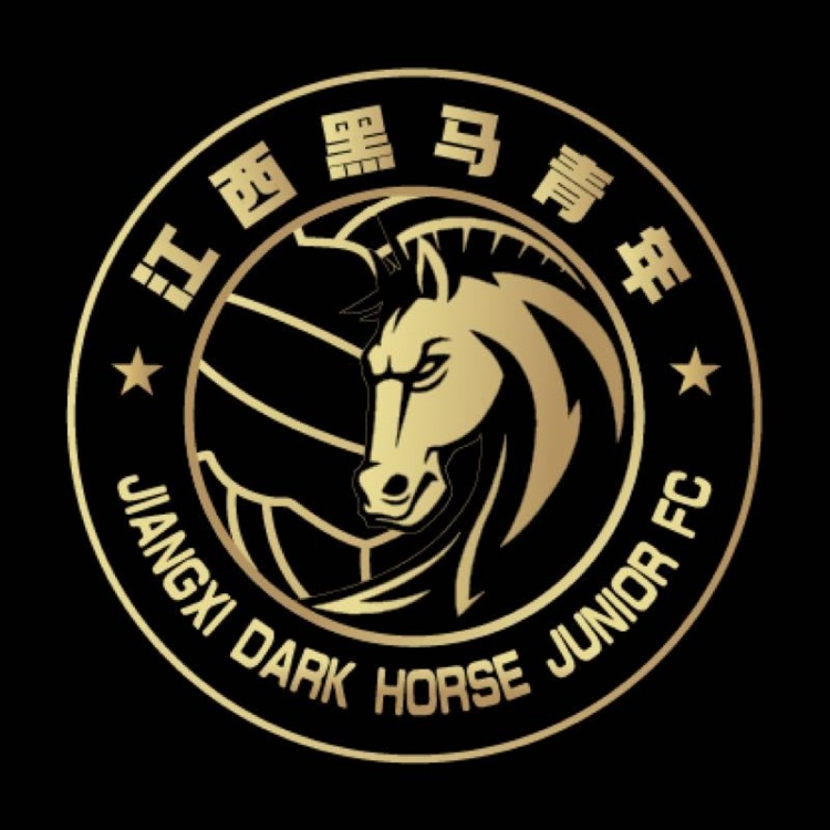 官方：江西黑馬青年完成異地遷移程序，更名為溫州職業(yè)足球俱樂(lè )部